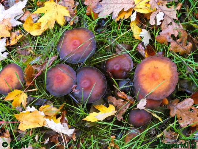 30 november &amp; 1 &amp; 2 &amp; 3 december 2024