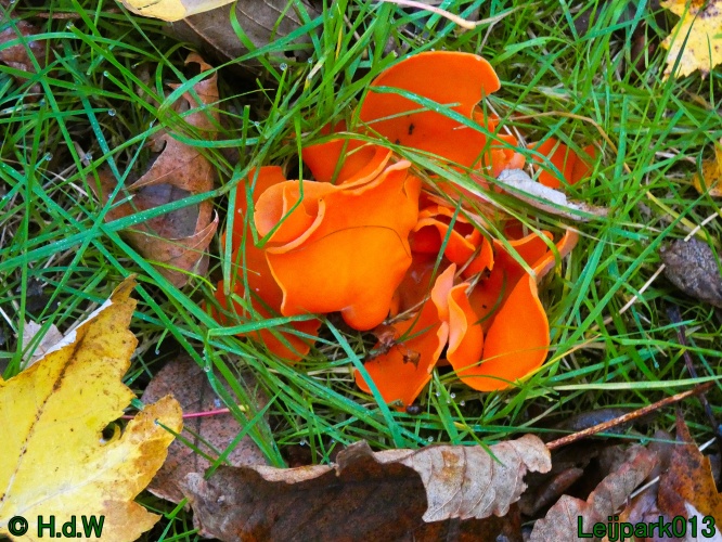 22 &amp; 23 &amp; 24 &amp; 25 november 2024