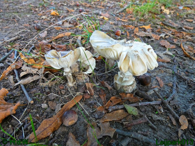 1 &amp; 2 &amp; 3 &amp; 4 oktober 2024