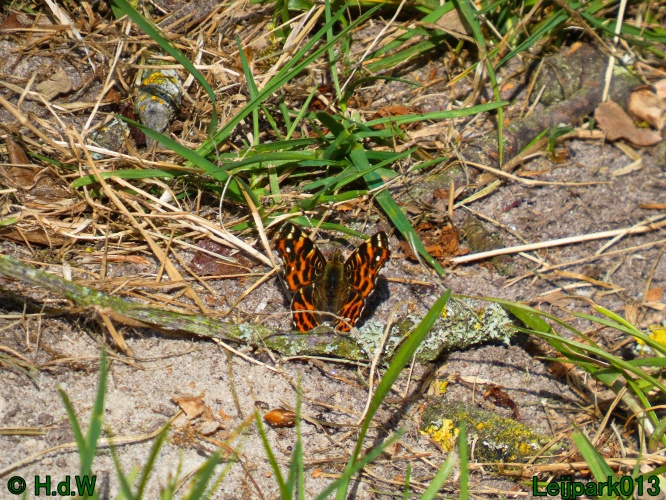 19 &amp; 20 &amp; 21 &amp; 22 maart 2025