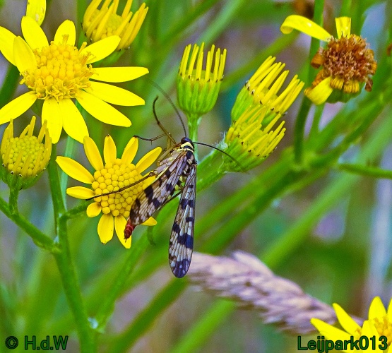 25 &amp; 26 &amp; 27 &amp; 28 juli 2024