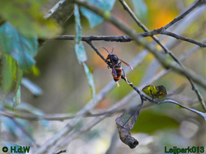 21 &amp; 22 &amp; 23 &amp; 24 oktober 2024