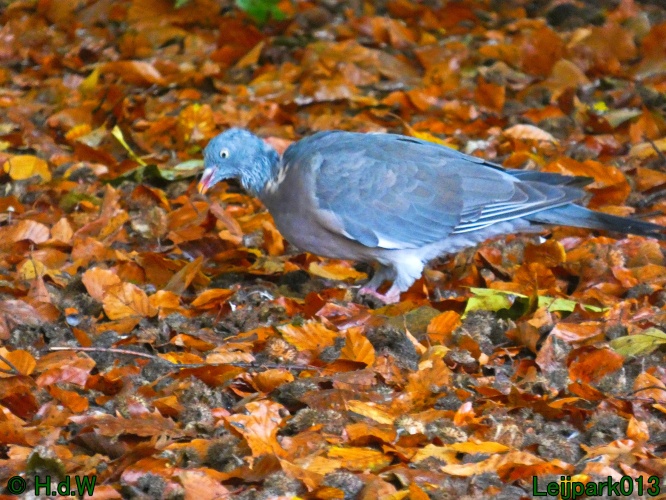 2 &amp; 3 &amp; 4 &amp; 5 November 2024