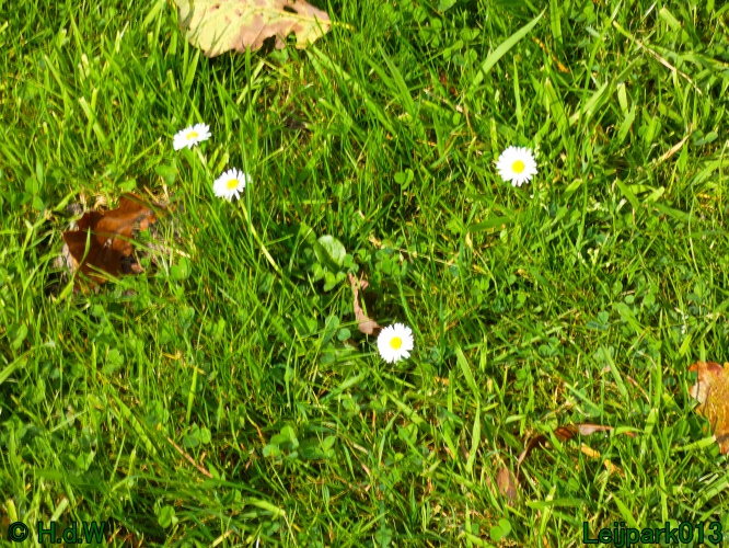 1 &amp; 2 &amp; 3 &amp; 4 oktober 2024