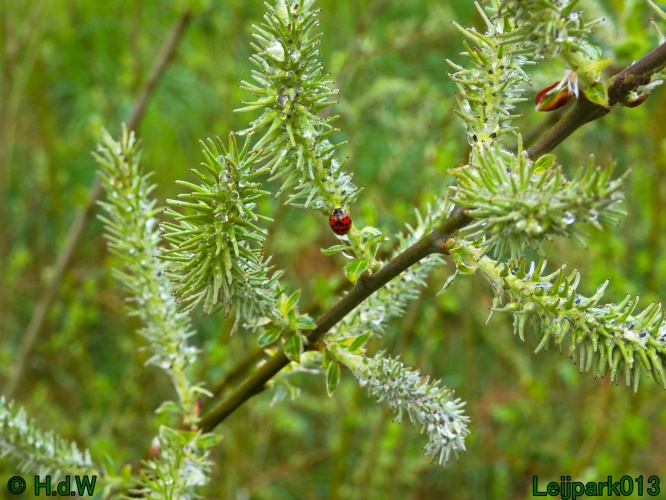 19 &amp; 20 &amp; 21 &amp; 22 maart 2025