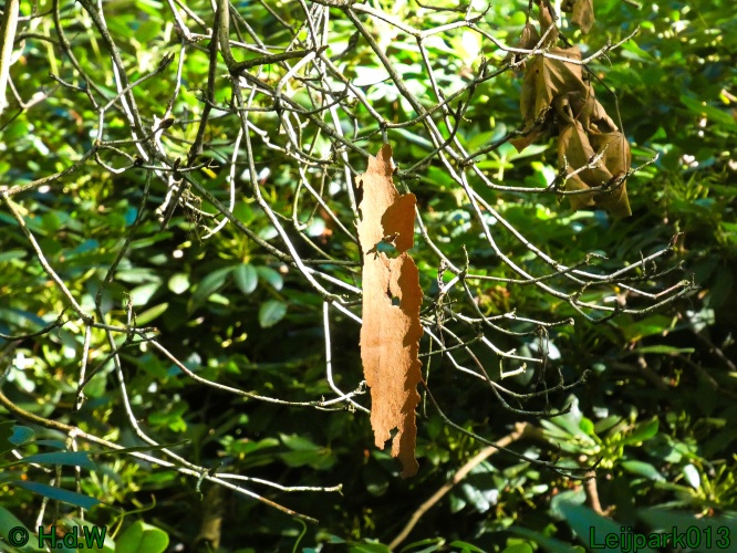 22 &amp; 23 &amp; 24 &amp; 25 augustus 2024