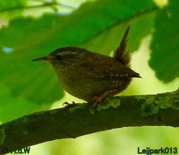 27 &amp; 28 &amp; 29 &amp; 30 juni 2024