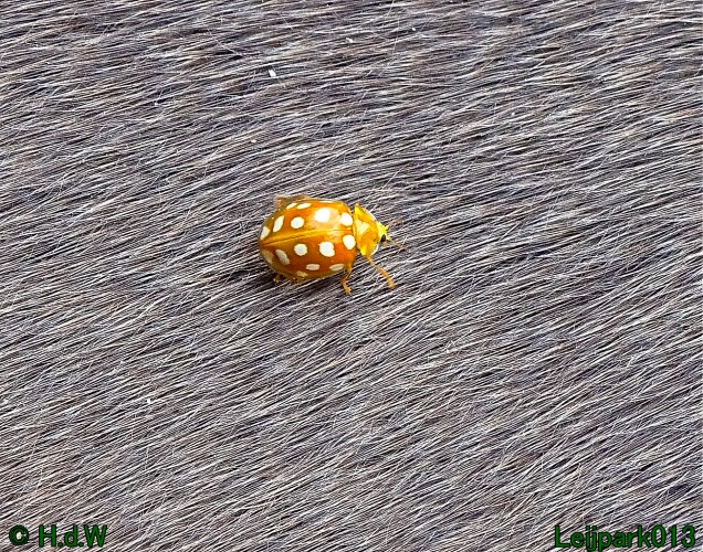 11 &amp; 12 &amp; 13 &amp; 14 juni 2024