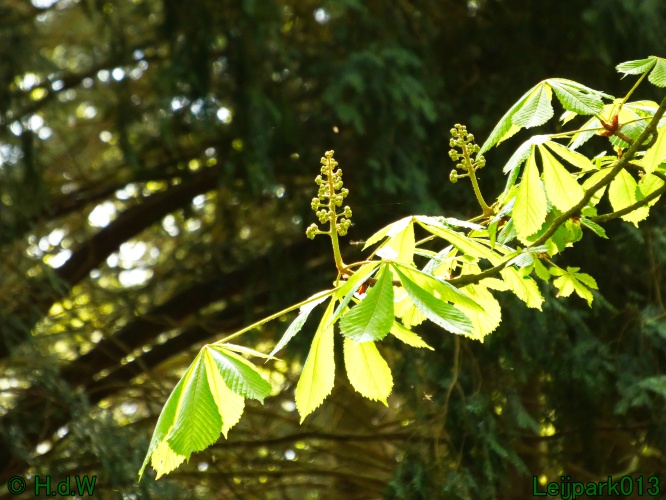 19 &amp; 20 &amp; 21 &amp; 22 maart 2025