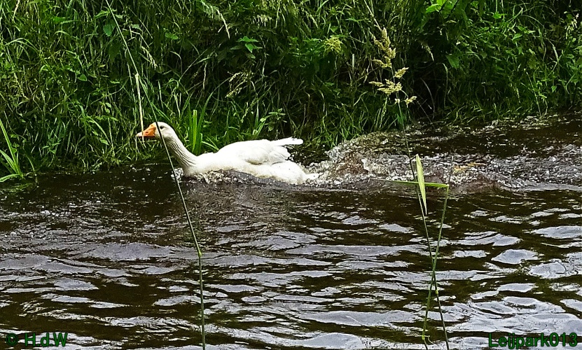 27 &amp; 28 &amp; 29 &amp; 30 juni 2024