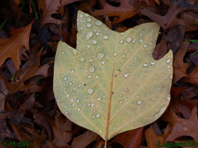 22 &amp; 23 &amp; 24 &amp; 25 november 2024