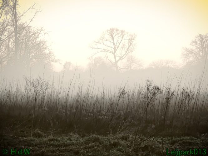 13 januari Mist en zon