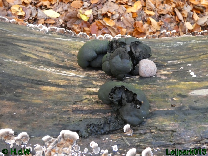 22 &amp; 23 &amp; 24 &amp; 25 november 2024