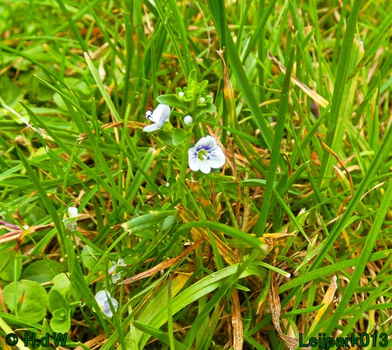 1 &amp; 2 &amp; 3 &amp; 4 oktober 2024