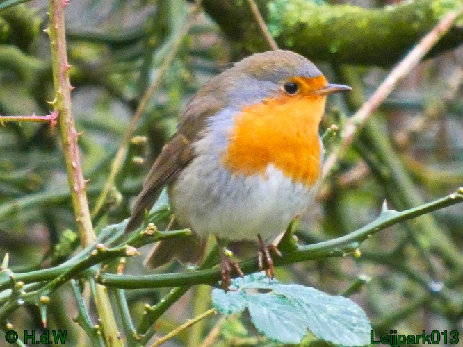 21 &amp; 22 &amp; 23 &amp; 24 januari 2025