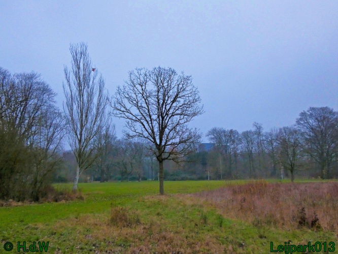 16 &amp; 17 &amp; 18 &amp; 19 december 2024