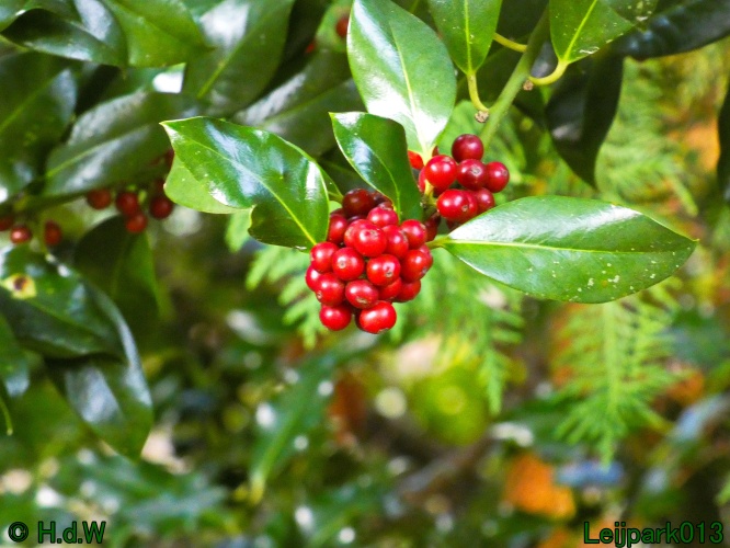 1 &amp; 2 &amp; 3 &amp; 4 oktober 2024