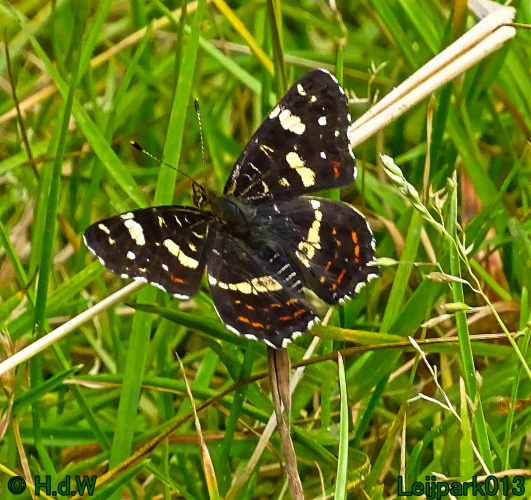 5 &amp; 6 &amp; 7 &amp; 8 juli 2024