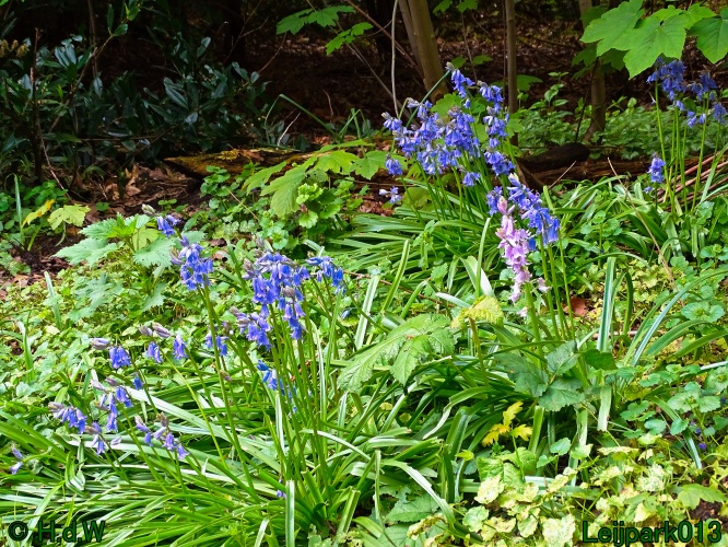 30 april 1 &amp; 2 &amp; 3 mei 2024