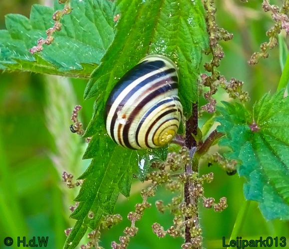 11 &amp; 12 &amp; 13 &amp; 14 juni 2024