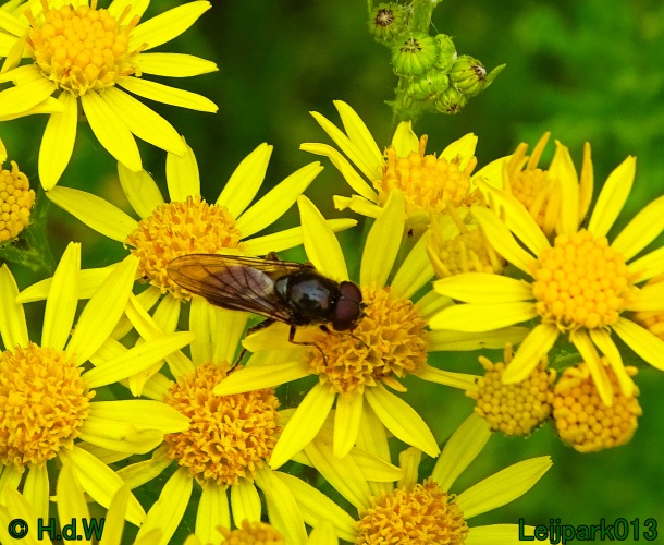 25 &amp; 26 &amp; 27 &amp; 28 juli 2024