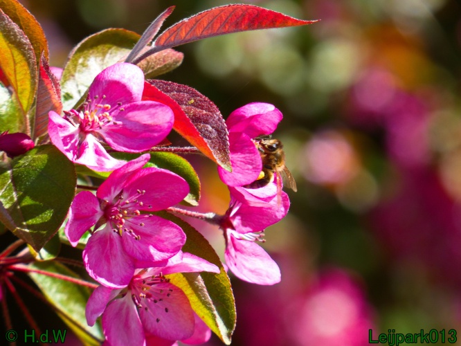 19 &amp; 20 &amp; 21 &amp; 22 maart 2025