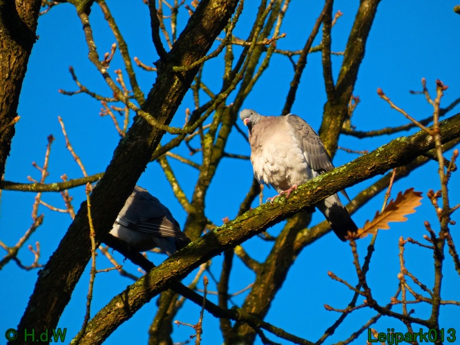 28 &amp; 29 &amp; 30 &amp; 31 oktober 2025