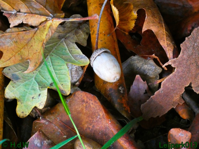 21 &amp; 22 &amp; 23 &amp; 24 oktober 2024