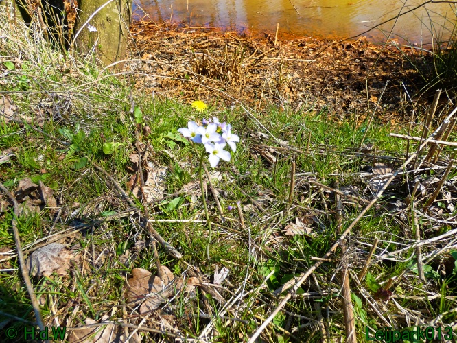 3 &amp; 4 &amp; 5 &amp; 6 april 2025