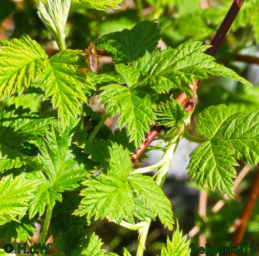 3 &amp; 4 &amp; 5 &amp; 6 april 2025