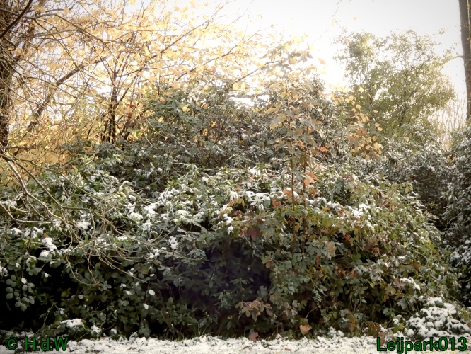 18 &amp; 19 &amp; 20 &amp; 21 november 2024