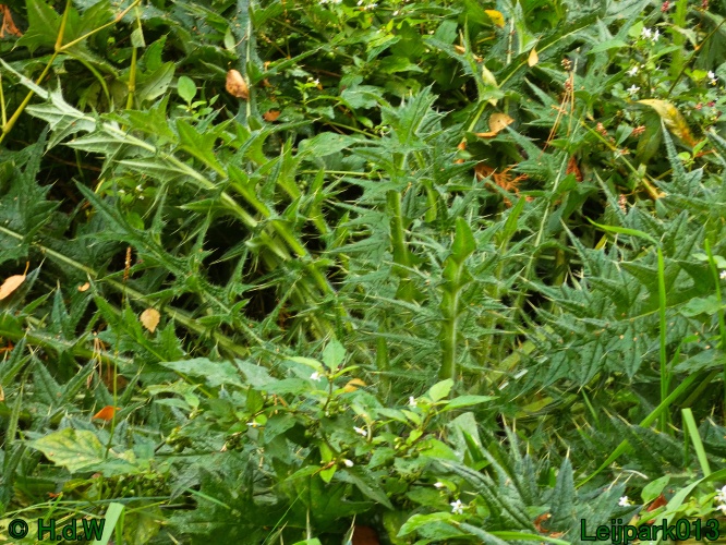 1 &amp; 2 &amp; 3 &amp; 4 oktober 2025