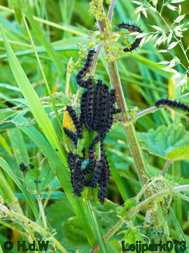 22 &amp; 23 &amp; 24 &amp; 25 augustus 2024