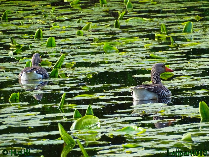 30 april 1 &amp; 2 &amp; 3 mei 2024