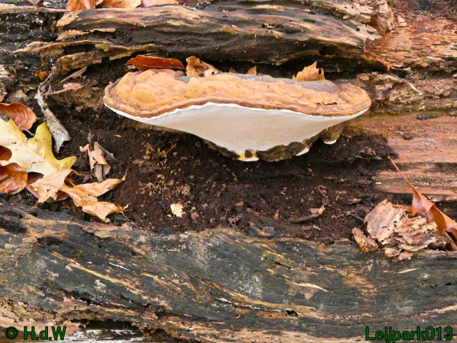 22 &amp; 23 &amp; 24 &amp; 25 november 2024