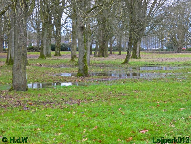 9 &amp; 10 &amp; 11 &amp; 12 januari 2025