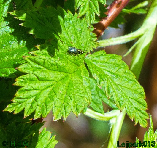 3 &amp; 4 &amp; 5 &amp; 6 april 2025