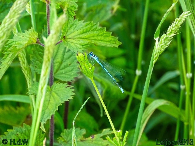 11 &amp; 12 &amp; 13 &amp; 14 juni 2024