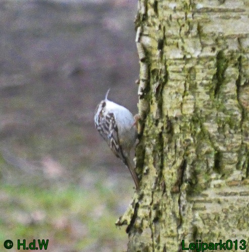 21 &amp; 22 &amp; 23 &amp; 24 januari 2025