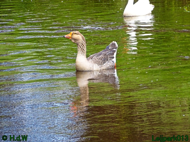 11 &amp; 12 &amp; 13 &amp; 14 juni 2024