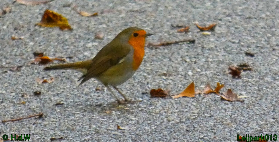 1 &amp; 2 &amp; 3 &amp; 4 oktober 2024