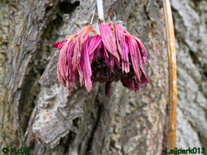 1 &amp; 2 &amp; 3 &amp; 4 januari 2025