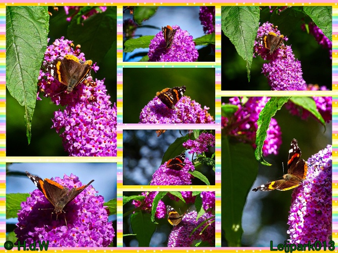 5 &amp; 6 &amp; 7 &amp; 8 juli 2024