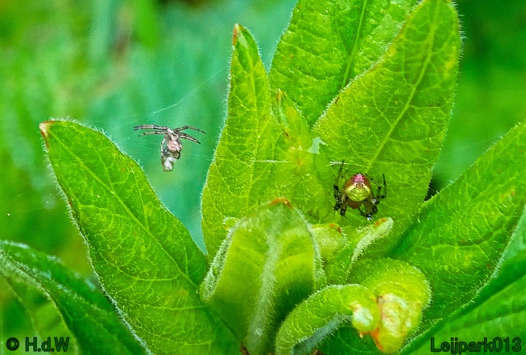 30 april 1 &amp; 2 &amp; 3 mei 2024