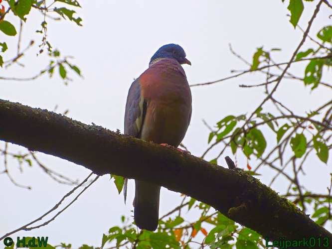 5 &amp; 6 &amp; 7 &amp; 8 juli 2024