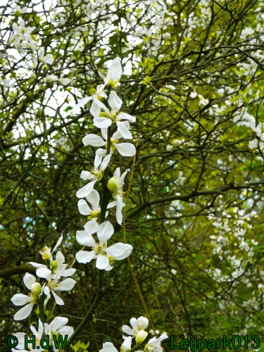 19 &amp; 20 &amp; 21 &amp; 22 maart 2025