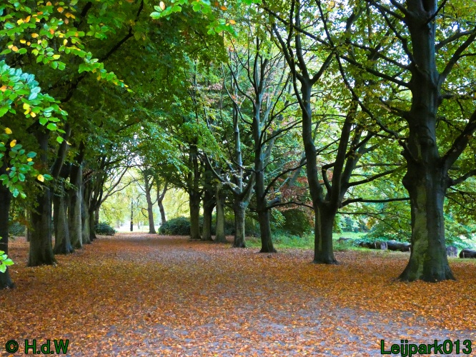 28 &amp; 29 &amp; 30 &amp; 31 oktober 2025