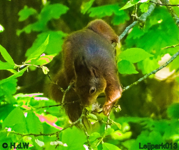 30 april 1 &amp; 2 &amp; 3 mei 2024