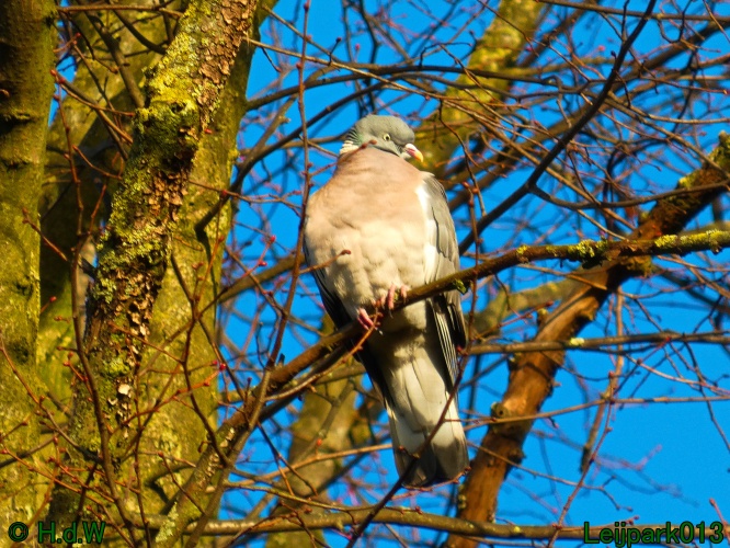 16 &amp; 17 &amp; 18 &amp; 19 december 2024