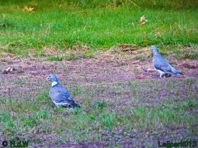 1 &amp; 2 &amp; 3 &amp; 4 oktober 2024